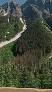 Aerial View of a Winding Forest Road