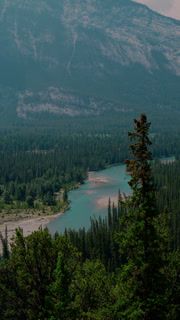 Turquoise River Winding Through the Forest