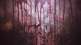 Animation mystical horror background with dark blood, abstract backdrop. Luxury and elegant dynamic animation footage of horror and halloween theme
