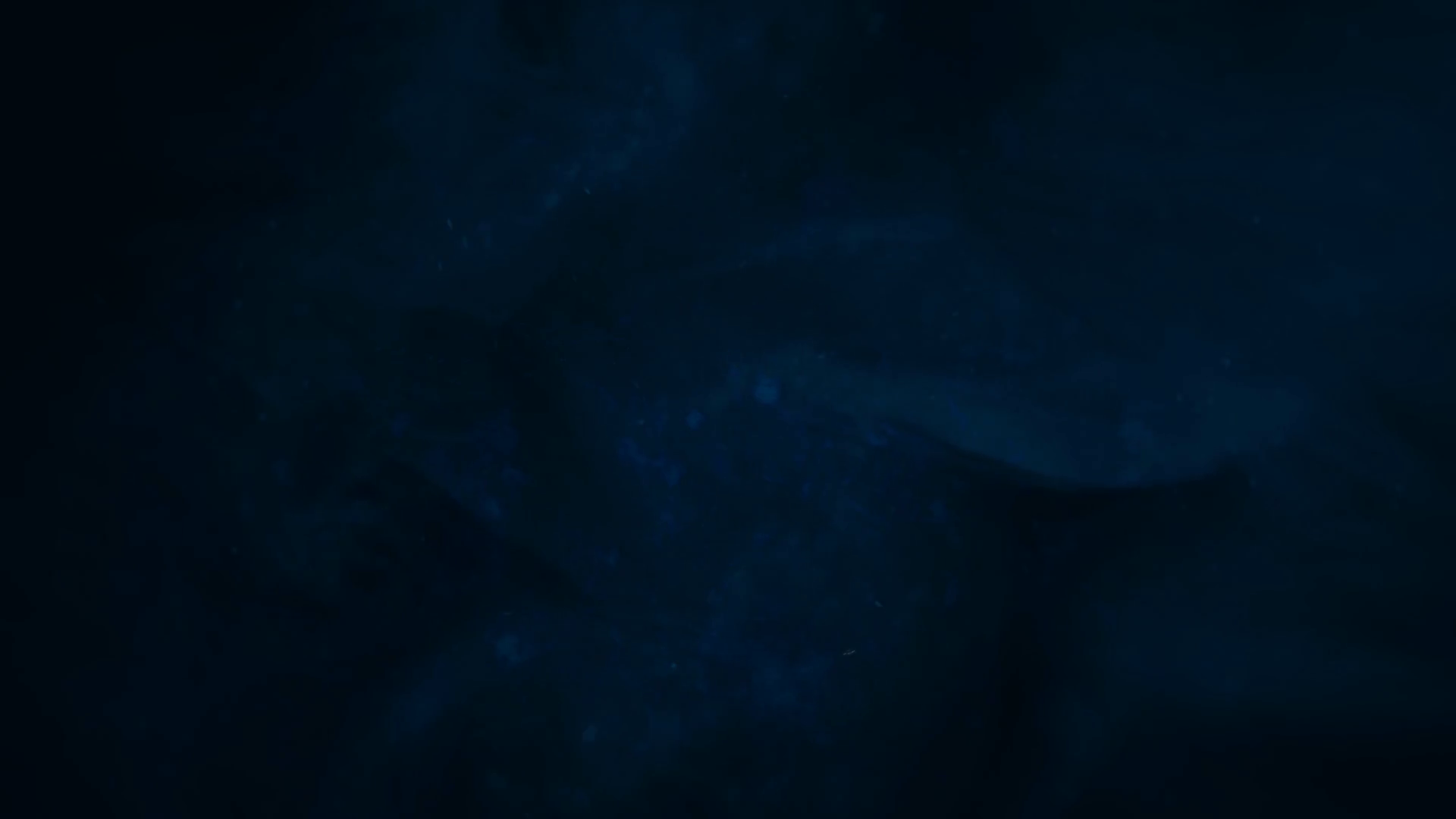 Cinematic background with smoke and particles and motion camera. Luxury