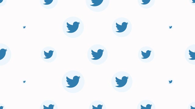 Twitter Logo | Effects and Overlays motion backgrounds - Storyblocks
