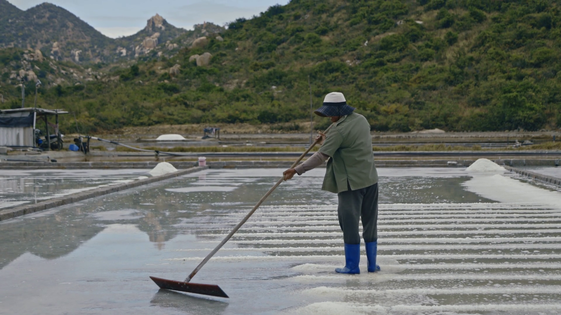 Senior Asian Worker In Shirt Harvests Salt Stock Footage SBV-352938613 ...