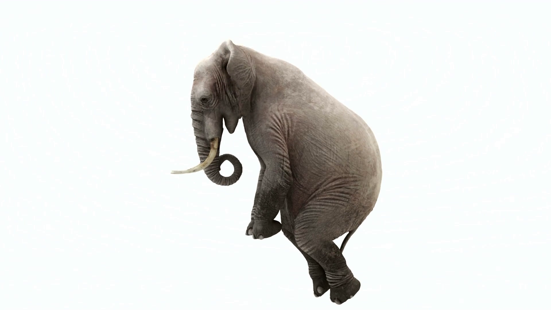 Cg Rendering Of Flying Elephant Loop Stock Footage SBV-321034885 ...
