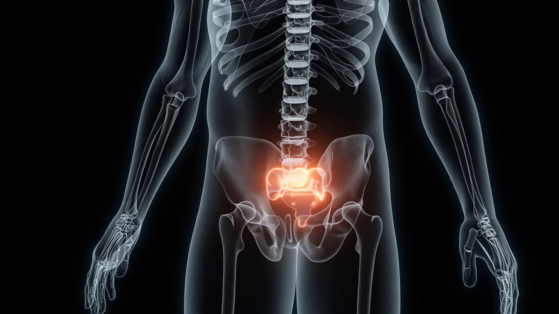 3d Rendering Of Medical Animation Of Sacrum Stock Footage SBV-347585722 ...
