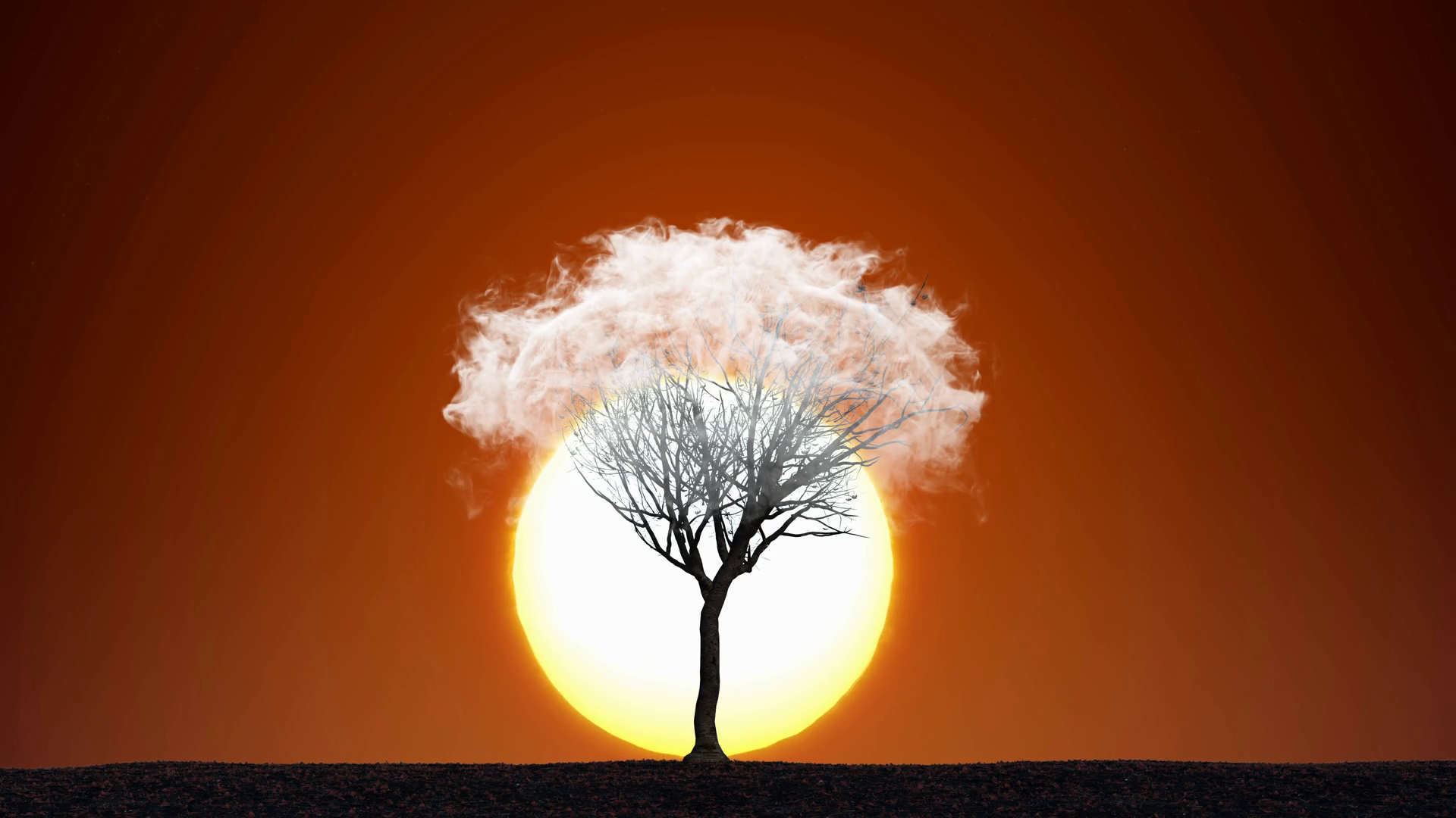 Lonely Tree In Cloud At Sunset / Sunrise Stock Motion Graphics SBV ...