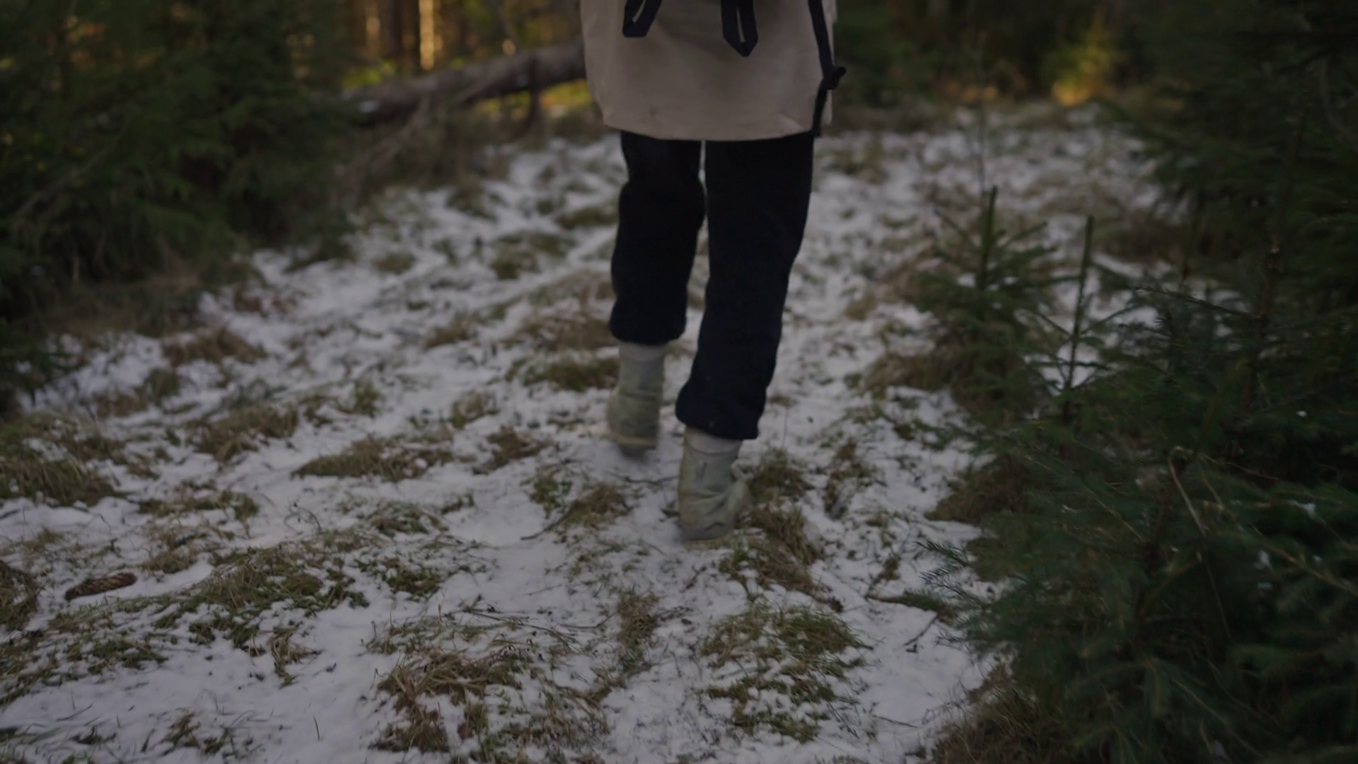 Rear View Of Girl In Hiking Clothes Walking Stock Footage SBV-352111167 ...