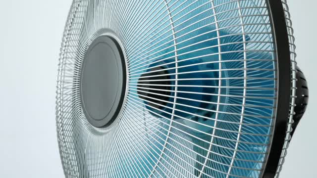 Angry Fan Stock Footage: Royalty-Free Video Clips - Storyblocks
