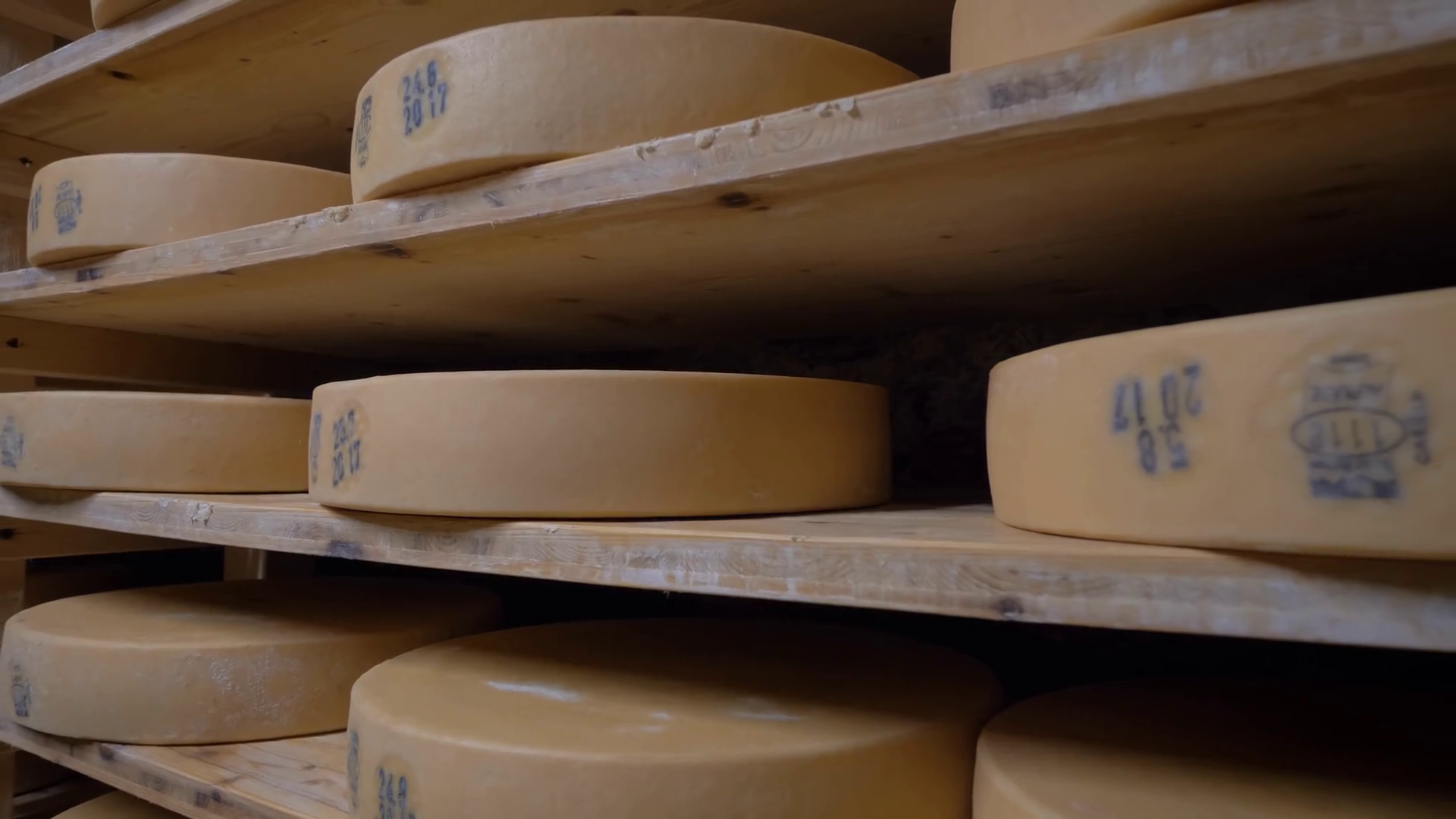 The famous Swiss cheese on the shelves. Stock Video Footage 0017 SBV