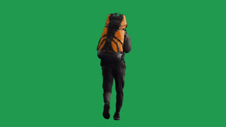 Back View of a Male Hiker in Full Length Running with a Large Heavy Backpack on His Back Hurrying. Back view of a male hiker in full length, running with a large heavy backpack on his back. Hurrying traveler in studio on green screen. Last moment for
