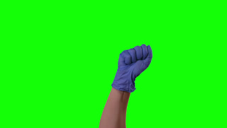 Doctors Female Hands in Blue Gloves Are Clapping