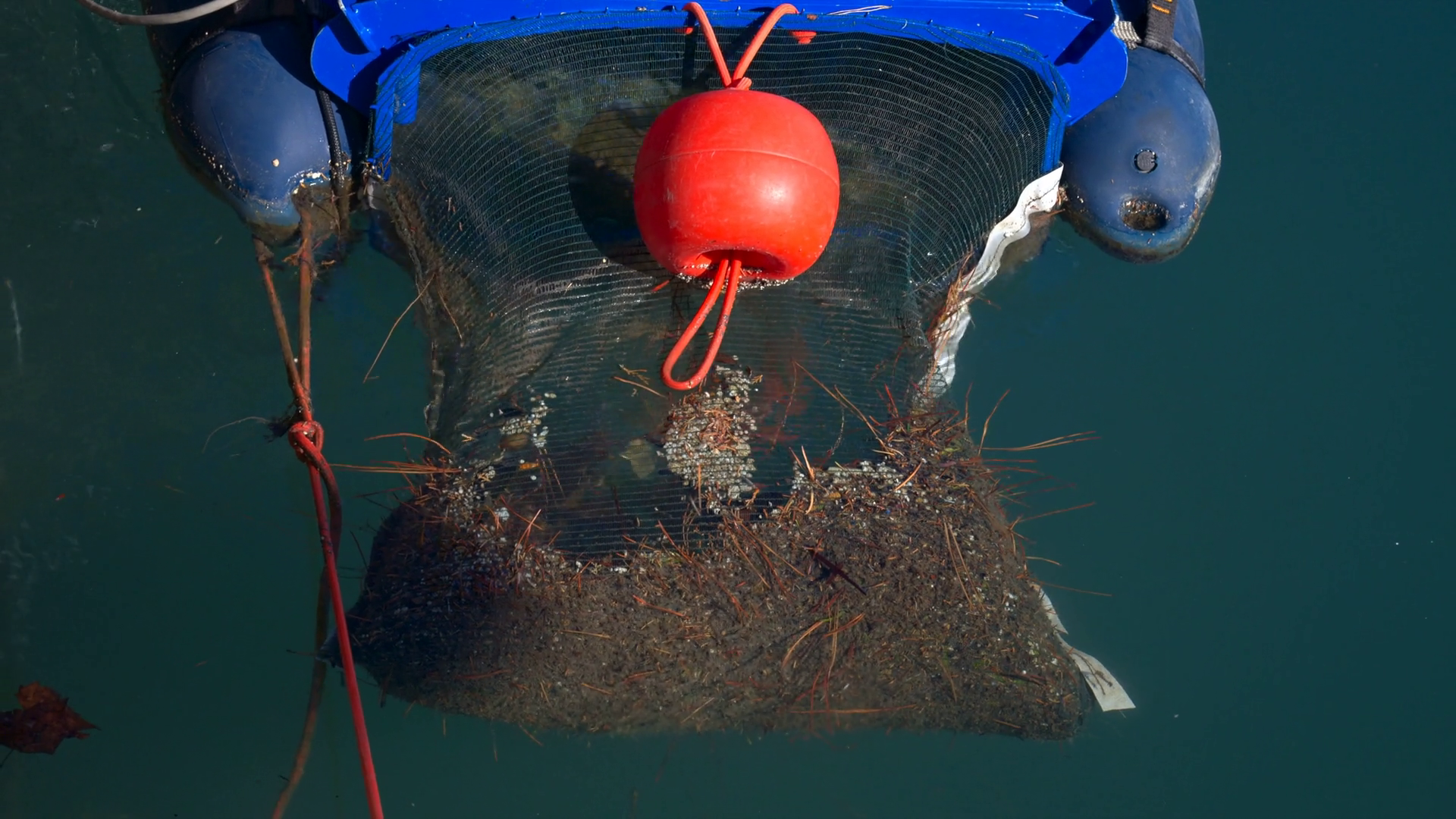 Close Up Of Floating Marine Debris Stock Footage SBV-352231110 ...