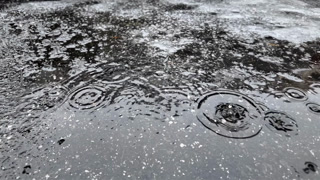 Raindrops hitting a dark asphalt surface, forming circular ripples and reflections during wet winter weather