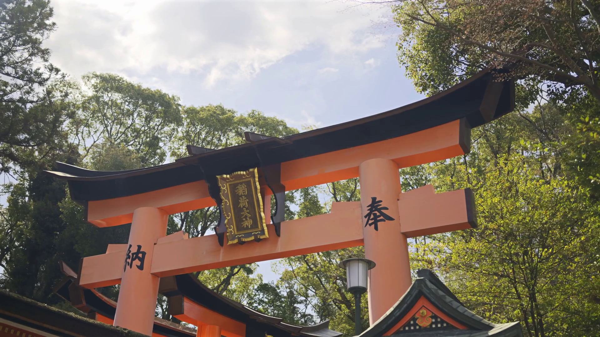 A Vibrant Red Torii Gate Stands Majestically Stock Footage SBV ...