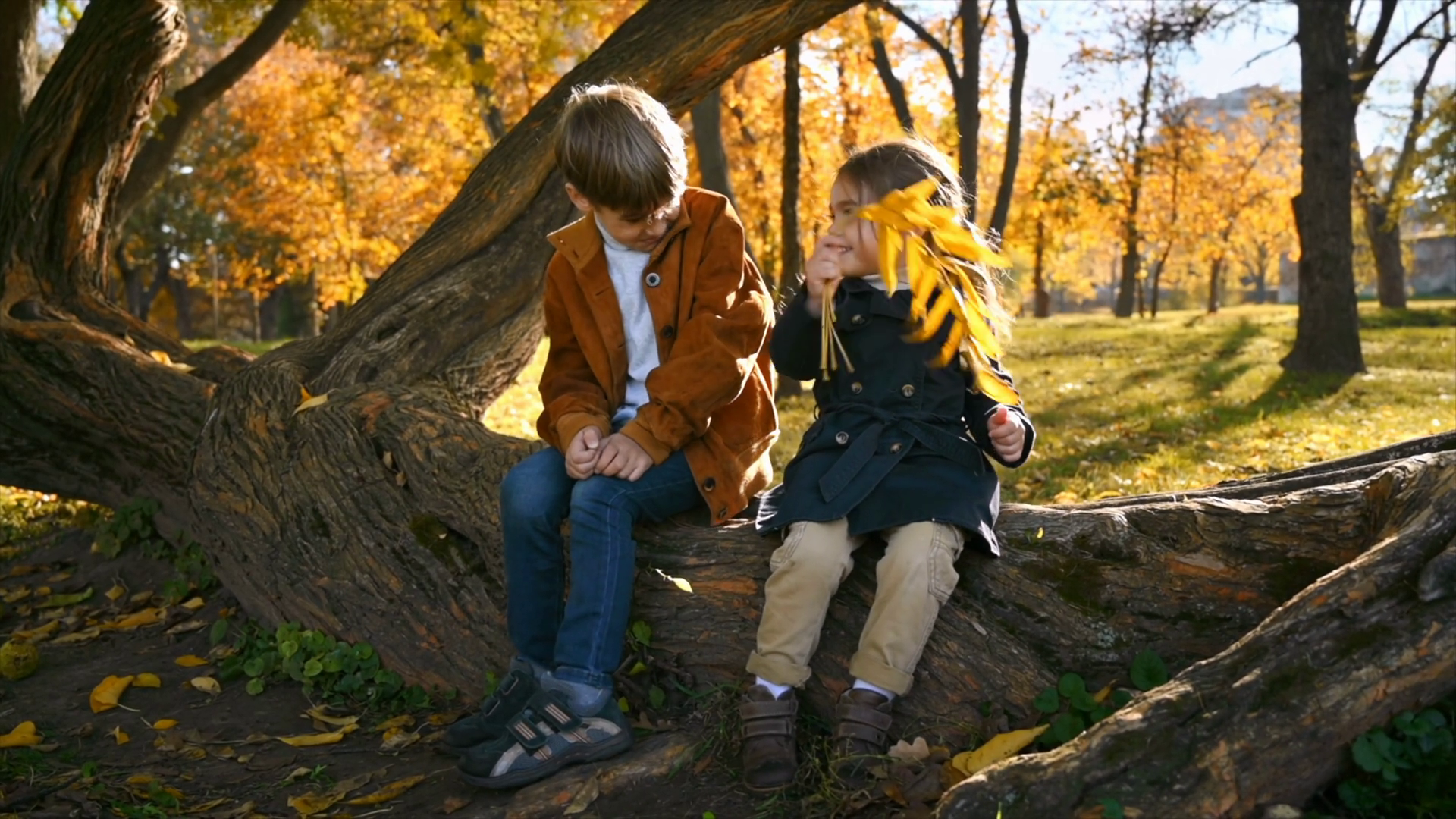 Happy Family In Autumn Park Brother Sister Stock Footage SBV-352474843 ...