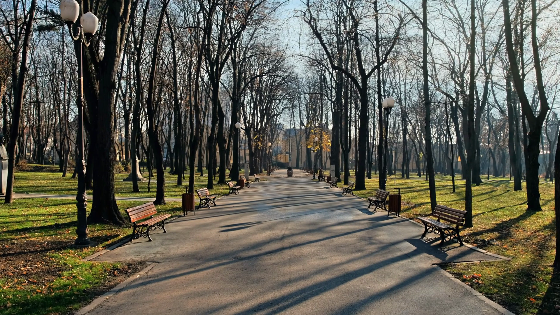 View Of Copou Park In Iasi Romania Benches Stock Footage SBV-352499433 ...