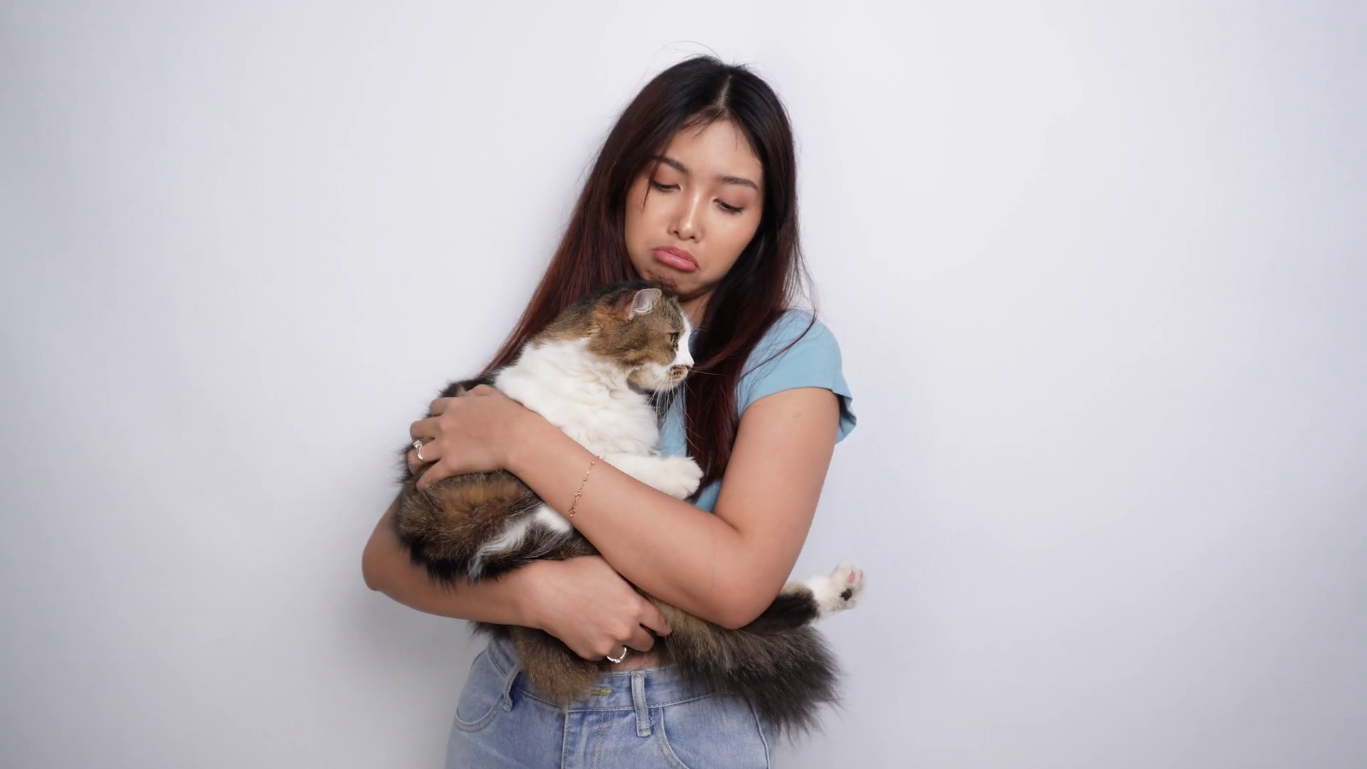 Sad Asian Woman Hugging Cute Longhair Kitty Stock Footage SBV348505311