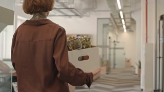Cropped rear-view slowmo shot of new female office worker carrying paper box with her stuff walking along office corridor greeting colleague which talking on smartphone while passing by
