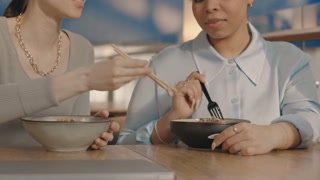 Two friends enjoying and sharing diverse cuisine, sitting together indoors for lunch