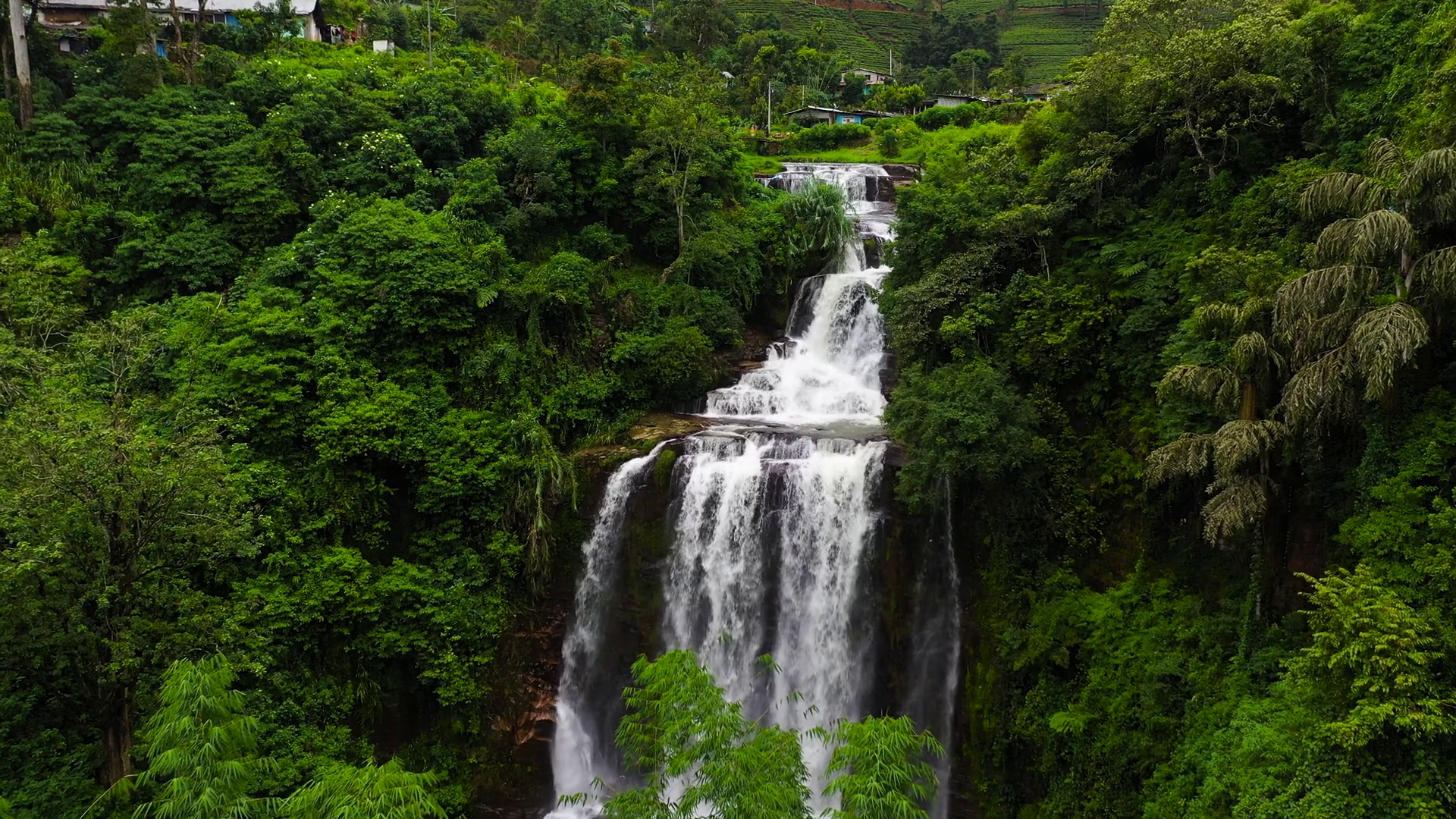 Waterfall Among Tea Plantations Mount Vernon Stock Footage SBV ...