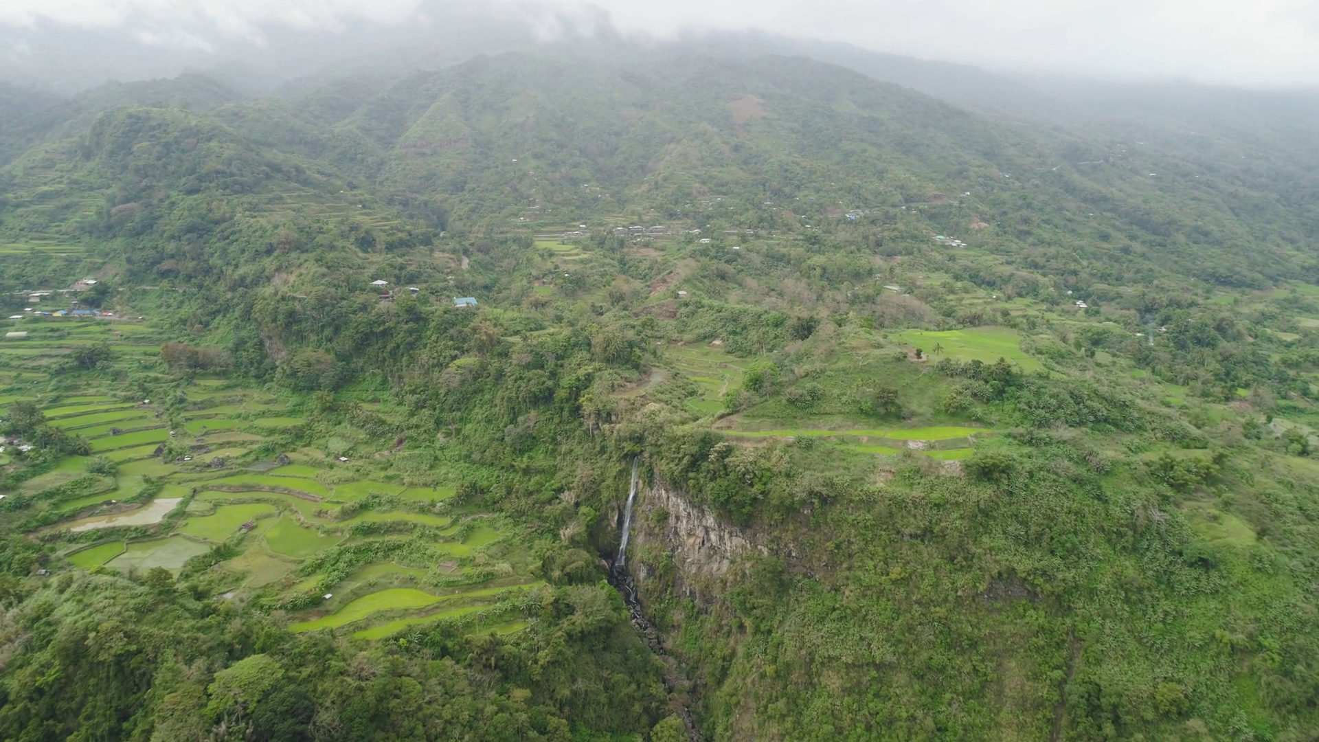 Aerial View Rice Fields Agricultural Land On Stock Footage SBV ...