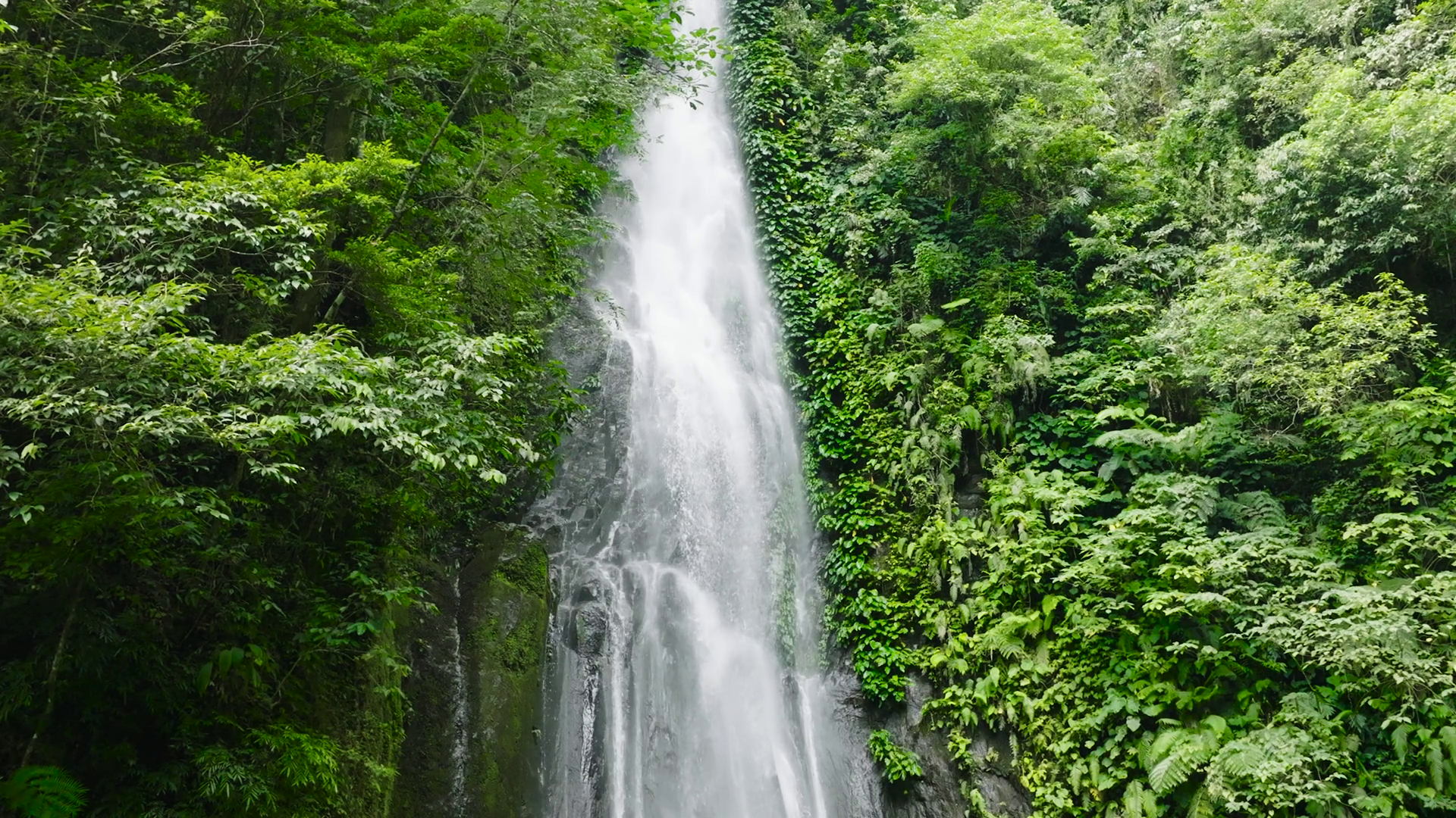 Aerial View Of Pulang Tubig Falls Waterfall Stock Footage SBV-352354000 ...