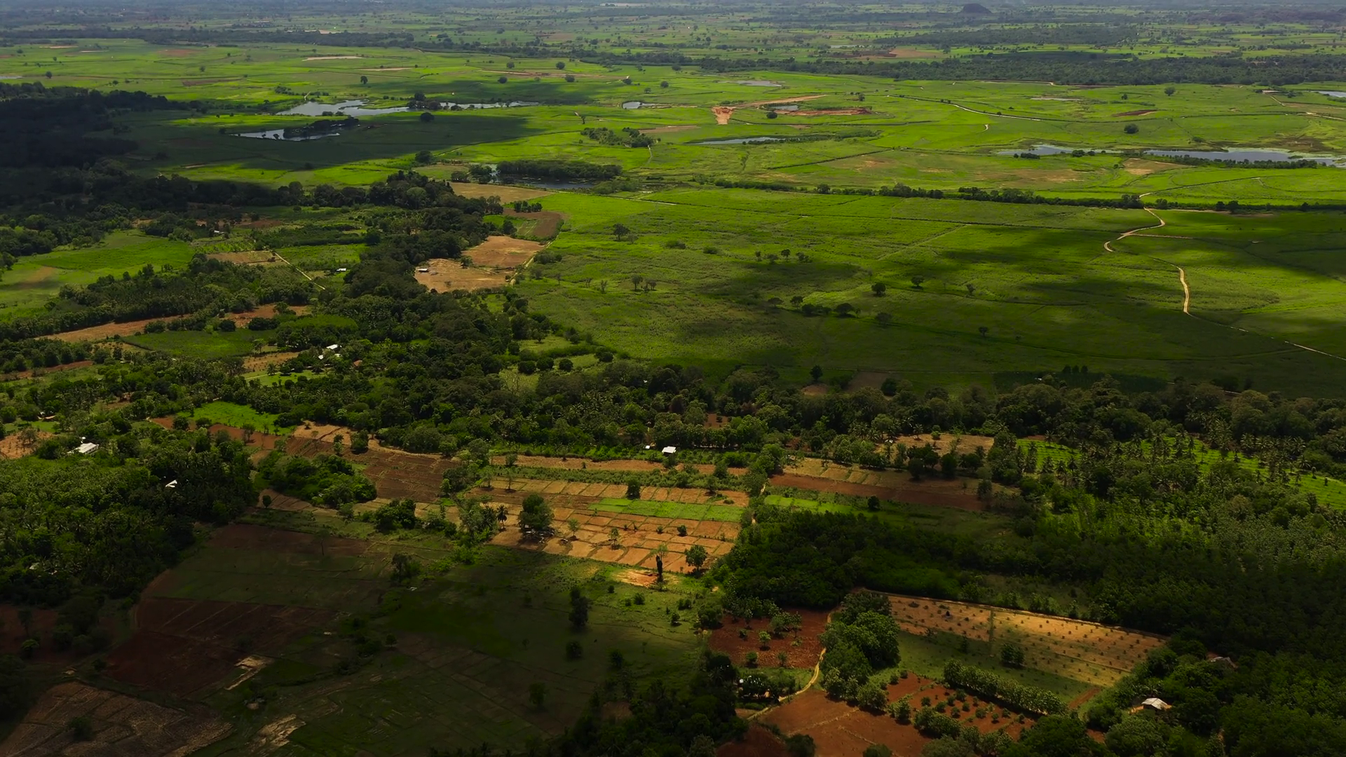Agricultural Land Farm Fields With Crops In Stock Footage SBV-353324117 ...