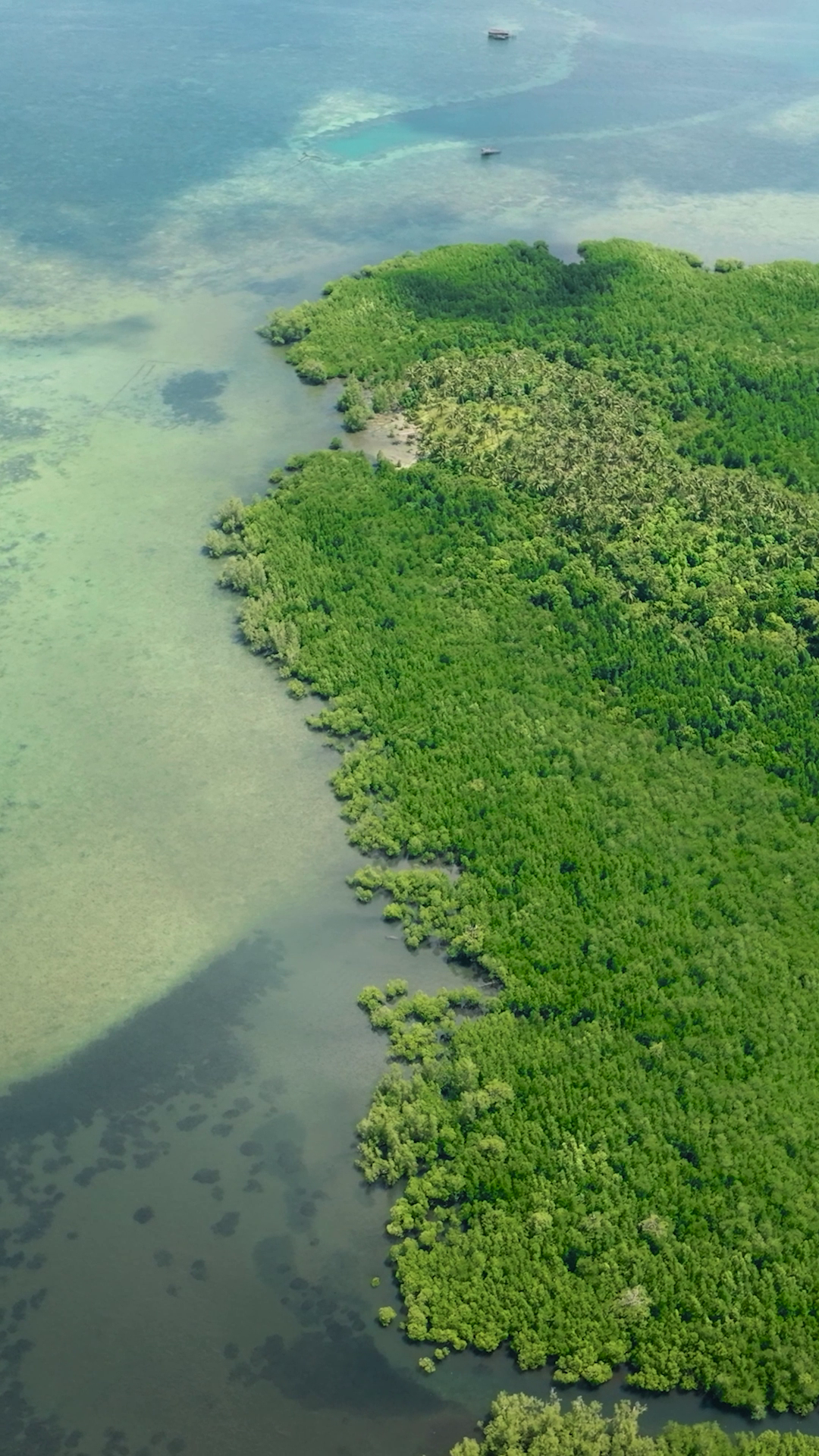 Mangroves Blue Lagoon On Tropical Island Stock Footage SBV-353222046 ...
