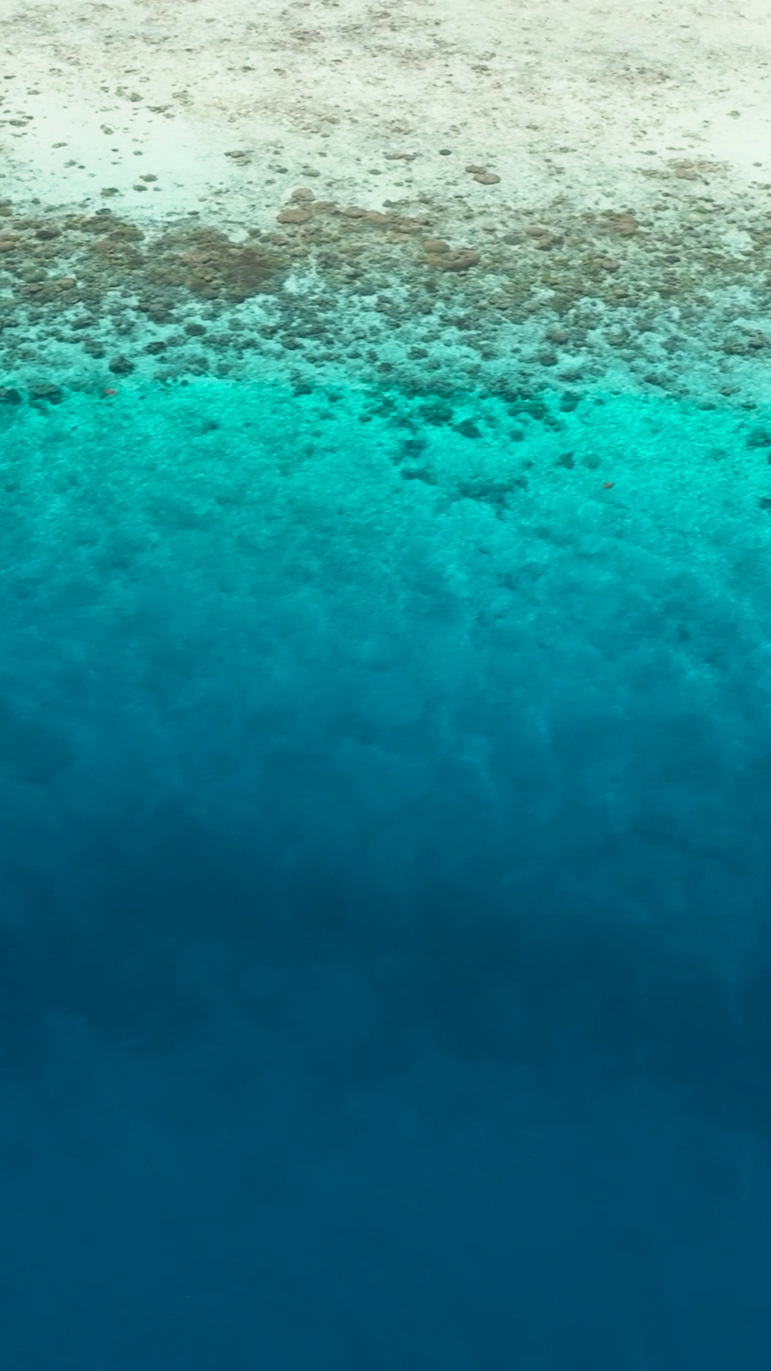 Transparent Turquoise Water In Tropical Sea Stock Footage SBV-353232206 ...