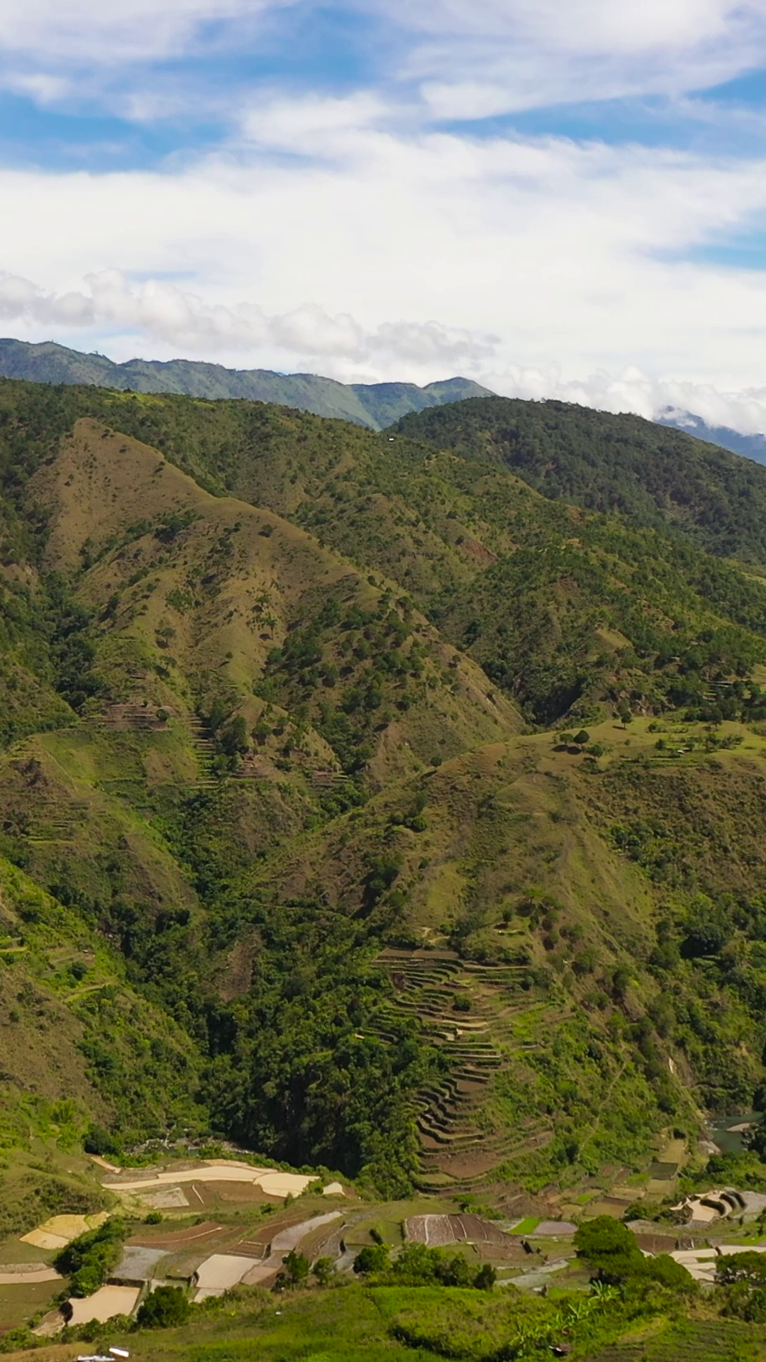 Aerial View Of Rice Terraces Fields In Stock Footage SBV-353241452 ...
