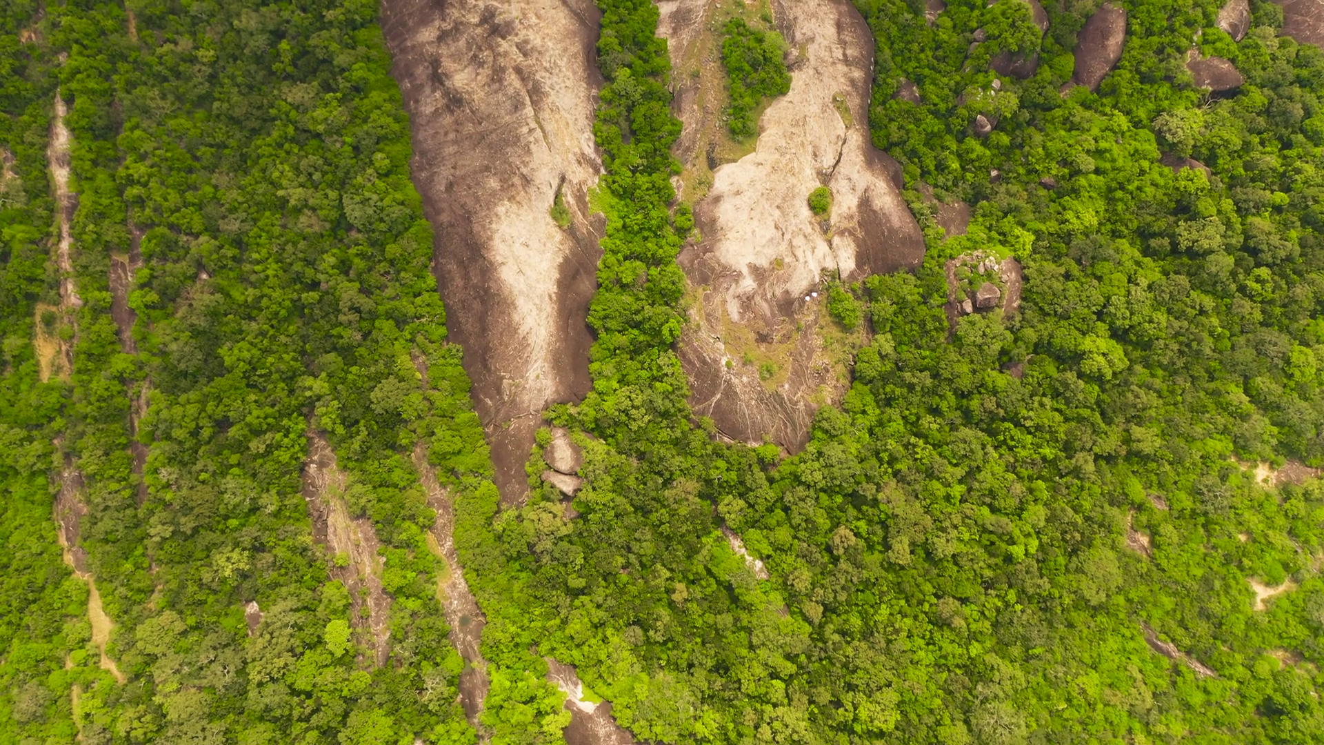 Rock Formations Among Rainforest Jungle Stock Footage SBV-347711445 ...