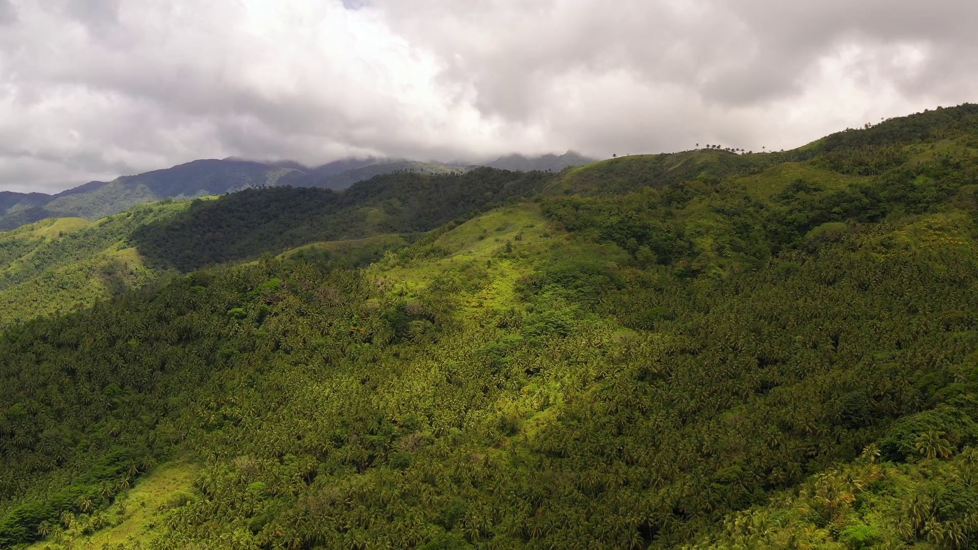 Lush Green Rainforest Aerial Drone View Of Stock Footage SBV-347738400 ...