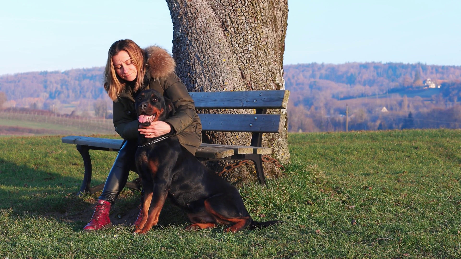 The Owner Hugs Rottweiler Walk In Evening Stock Footage SBV-352961942 ...