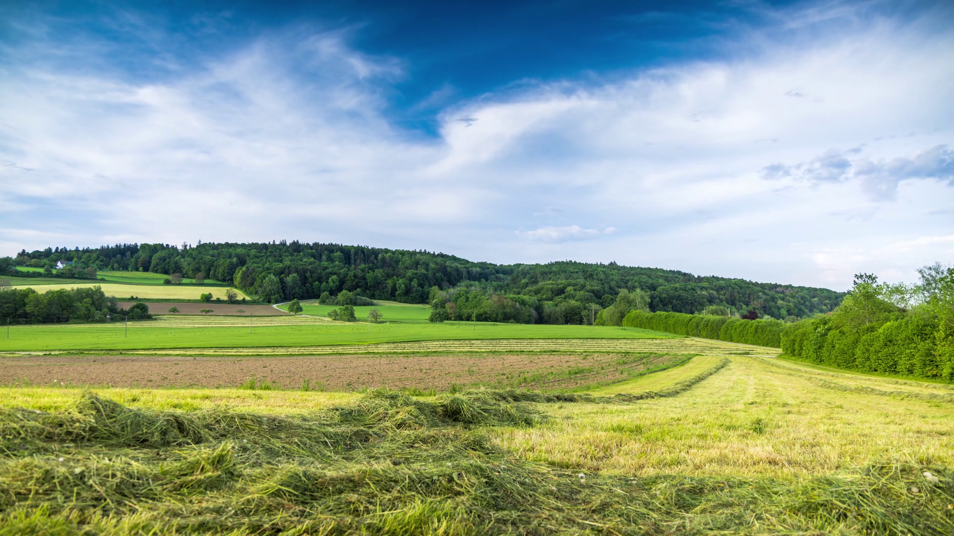 Agricultural Fields With Crops In Stock Footage SBV-352759179 - Storyblocks