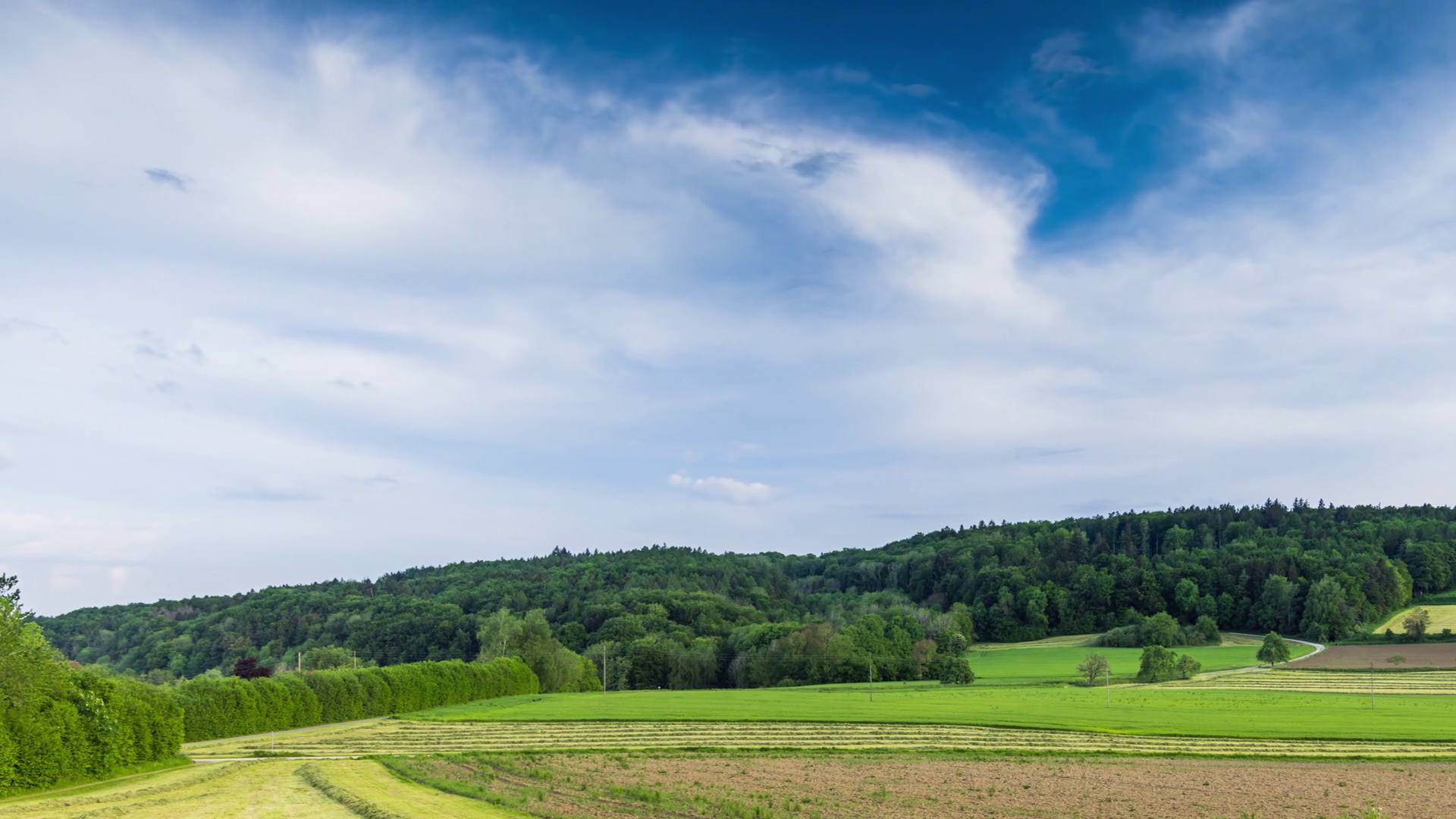 Agricultural Fields With Crops In Stock Footage SBV-352738515 - Storyblocks