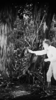 US - 1925 - in this silent drama, an explorer tries to kiss a woman in the jungle, but she fights back fiercely and is finally rescued by a gorilla.