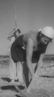 1938 - Jewish refugees, both men and women, use a variety of hand tools to carve out land for pipes and irrigation ditches in Palestine.