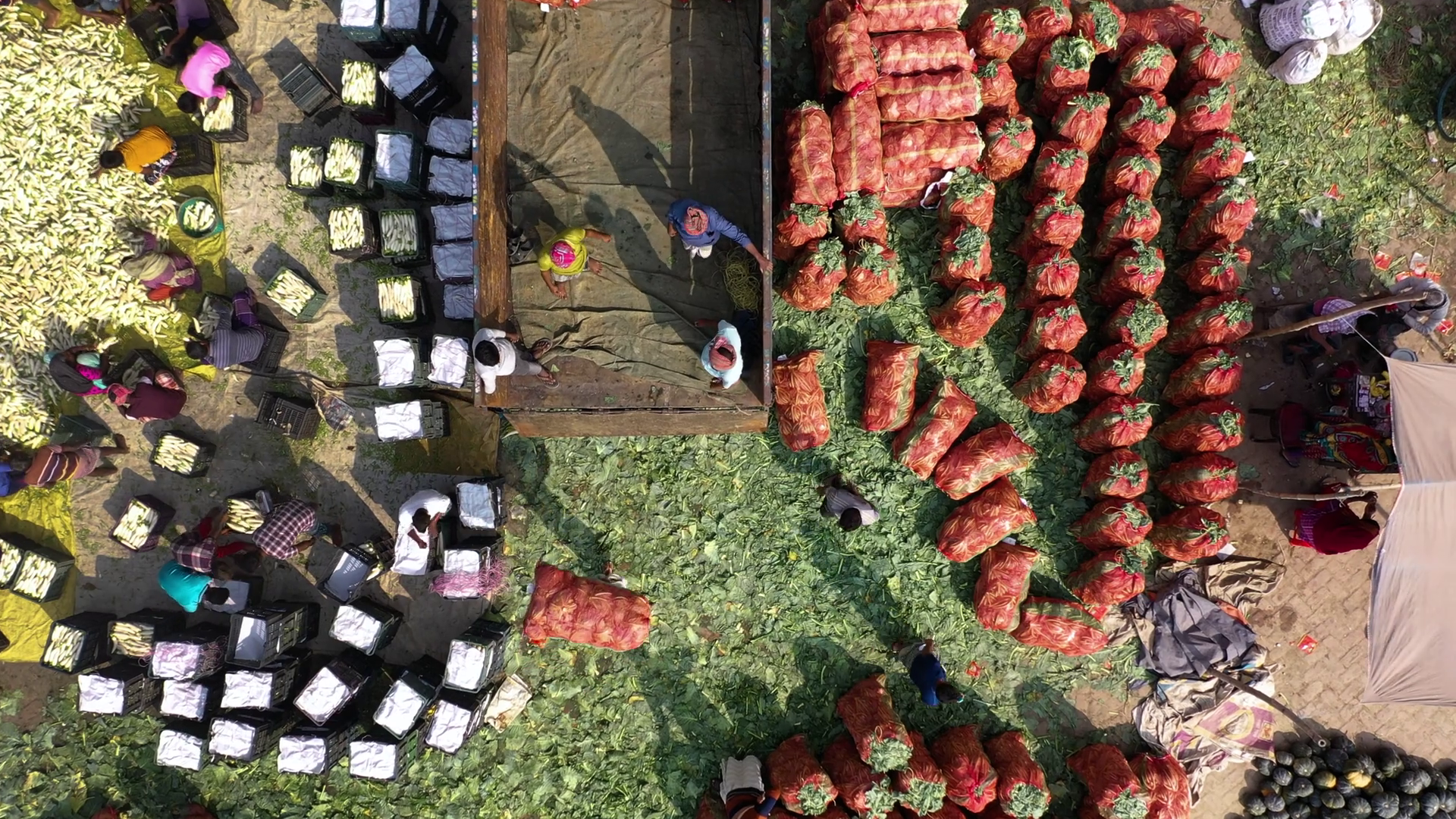 Aerial View Of Farmers Trading Crops Stock Footage SBV-352661661 ...