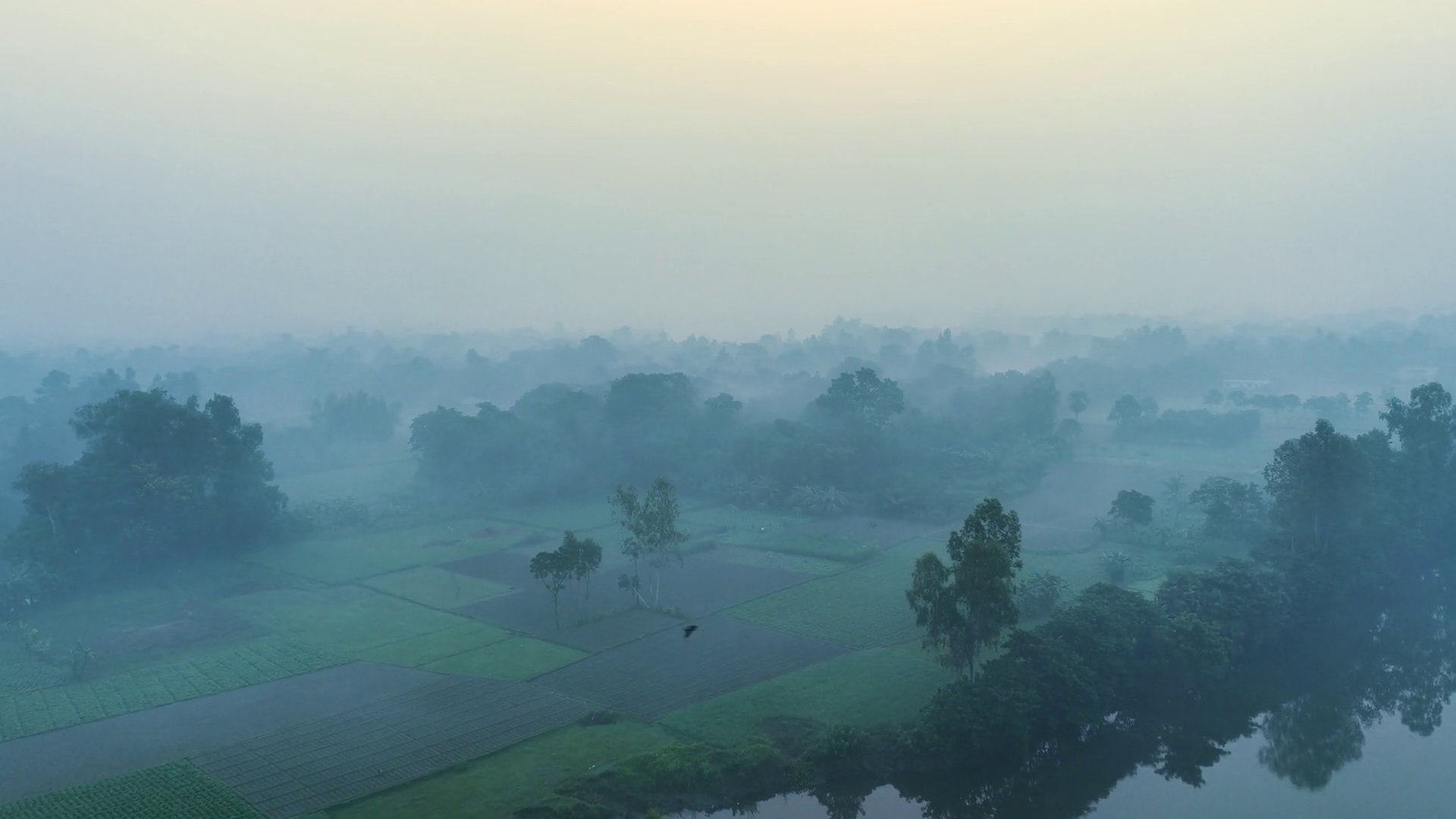 Aerial View Of Trees In Foggy Landscape Stock Footage SBV-352689733 ...