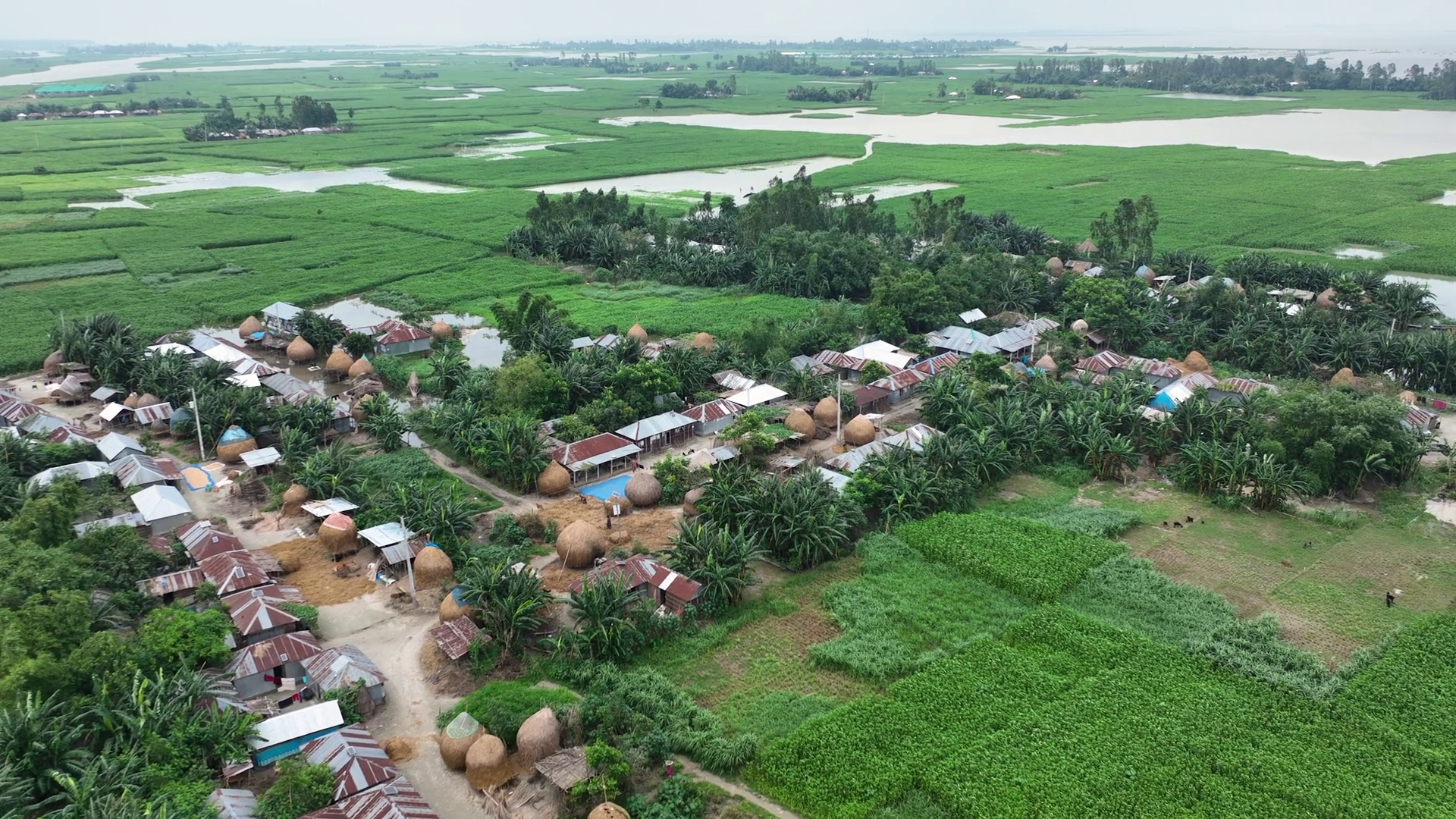 Bangladesh village and green fields