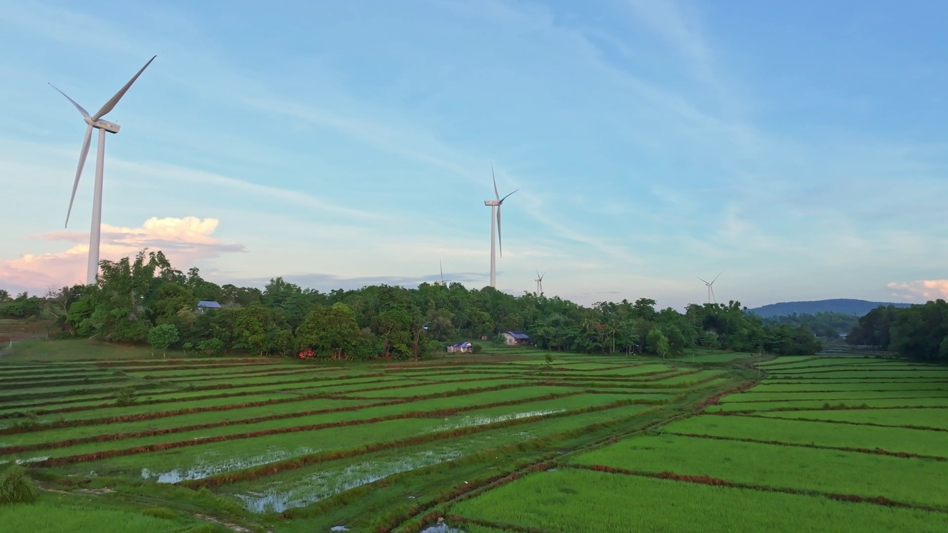 Aerial View Of Wind Turbines Rice Fields Stock Footage SBV-352728326 ...