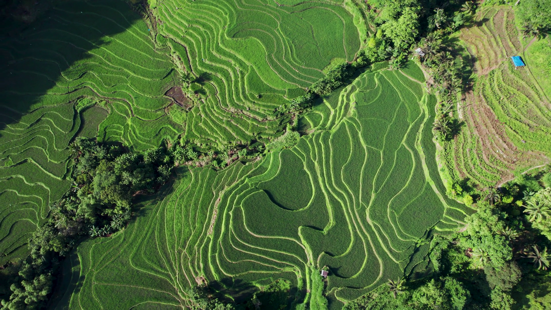 Aerial View Of Rice Terraces In Soppeng Stock Footage SBV-352749063 ...