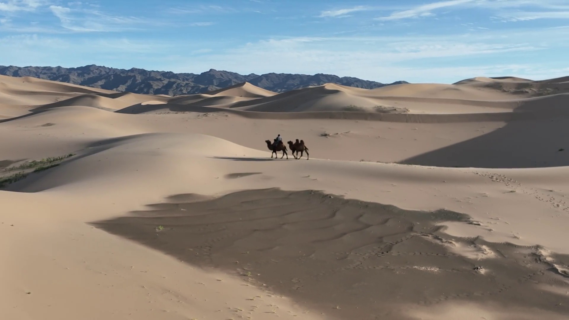 Aerial View Of Camels Traversing Undulating Stock Footage SBV-352792163 ...