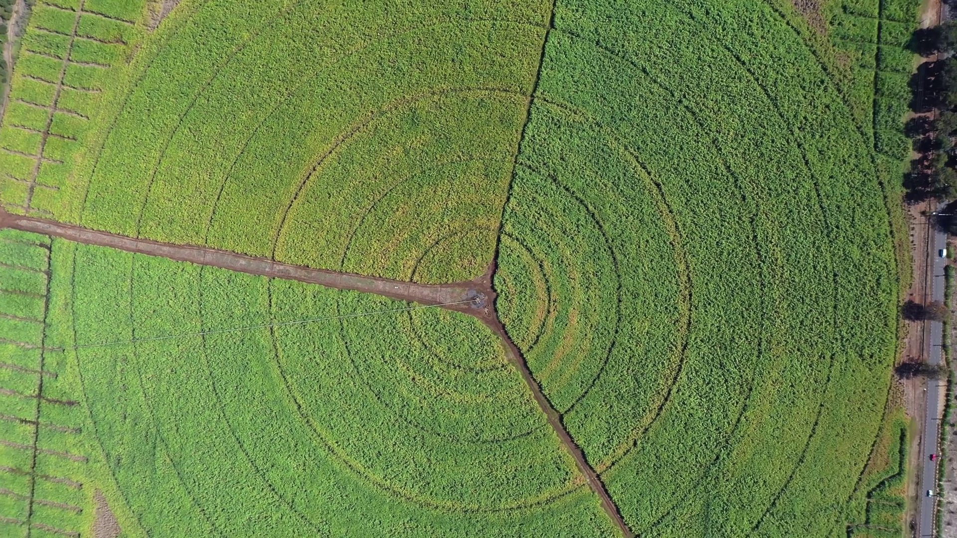 Aerial View Of Circular Cultivated Fields Stock Footage SBV-352852912 ...