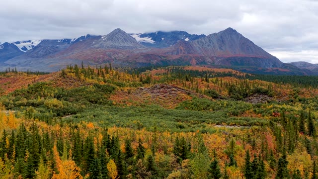 Alaska Forest Stock Footage: Royalty-Free Video Clips - Storyblocks
