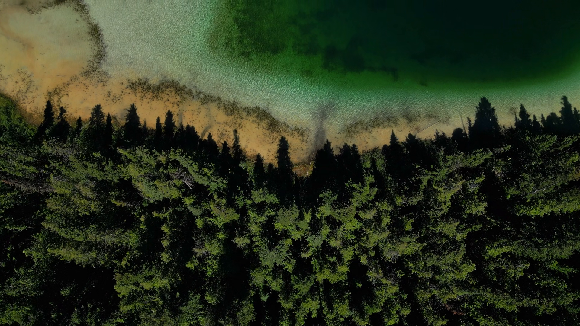 Aerial View Of Johnson Lake Resort Forest Stock Footage SBV-353600584 ...