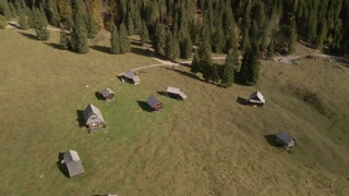 Aerial view of secluded village with traditional houses and pine tree forest, Planina Blato, Bohinj, Slovenia.