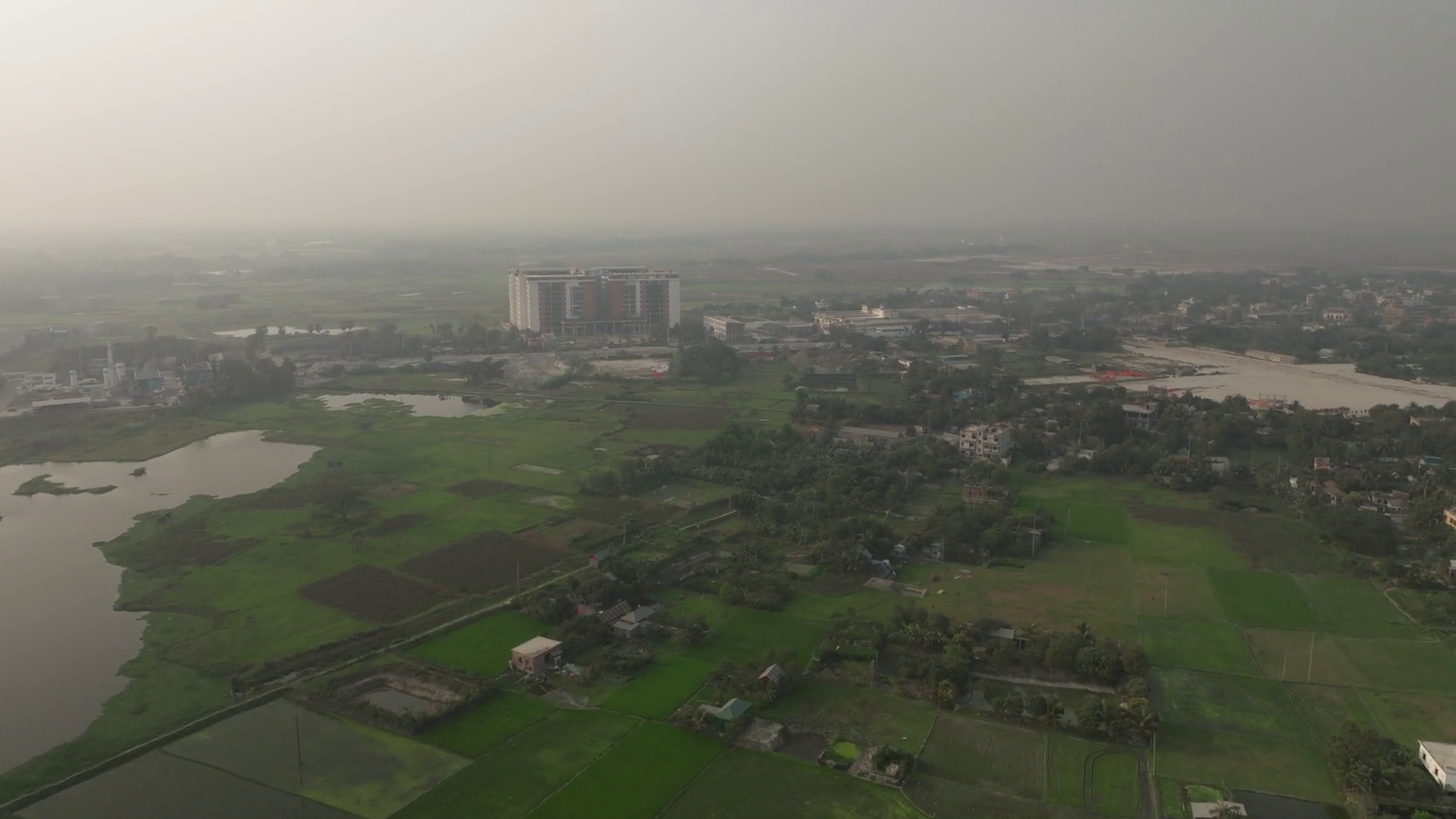 Aerial View Of Lush Rice Fields Tranquil Stock Footage SBV-351899240 ...