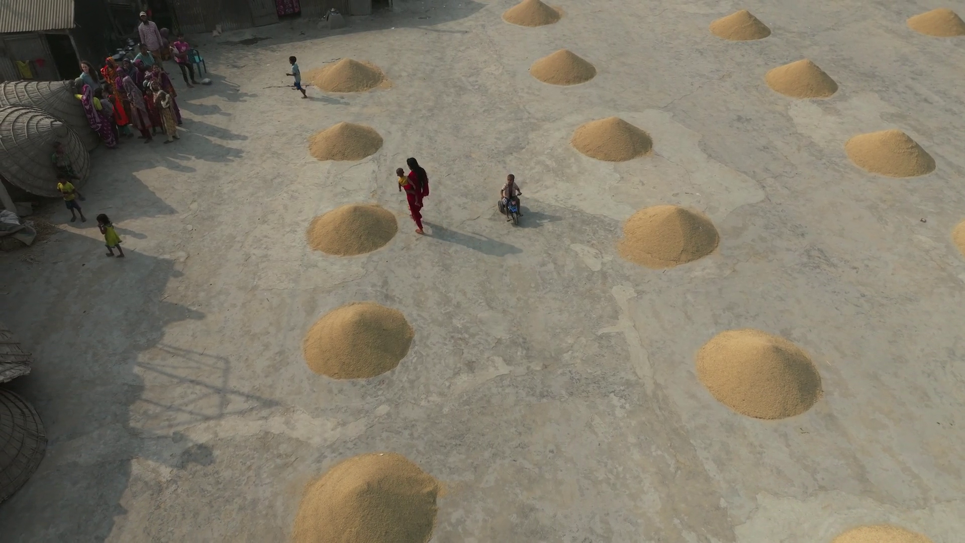 Aerial View Of Rice Fields With People Stock Footage SBV-351899260 ...