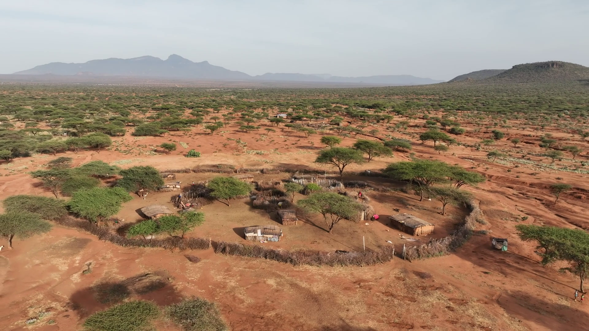 Aerial View Of Traditional Samburu Manyatta Stock Footage SBV-351900259 ...