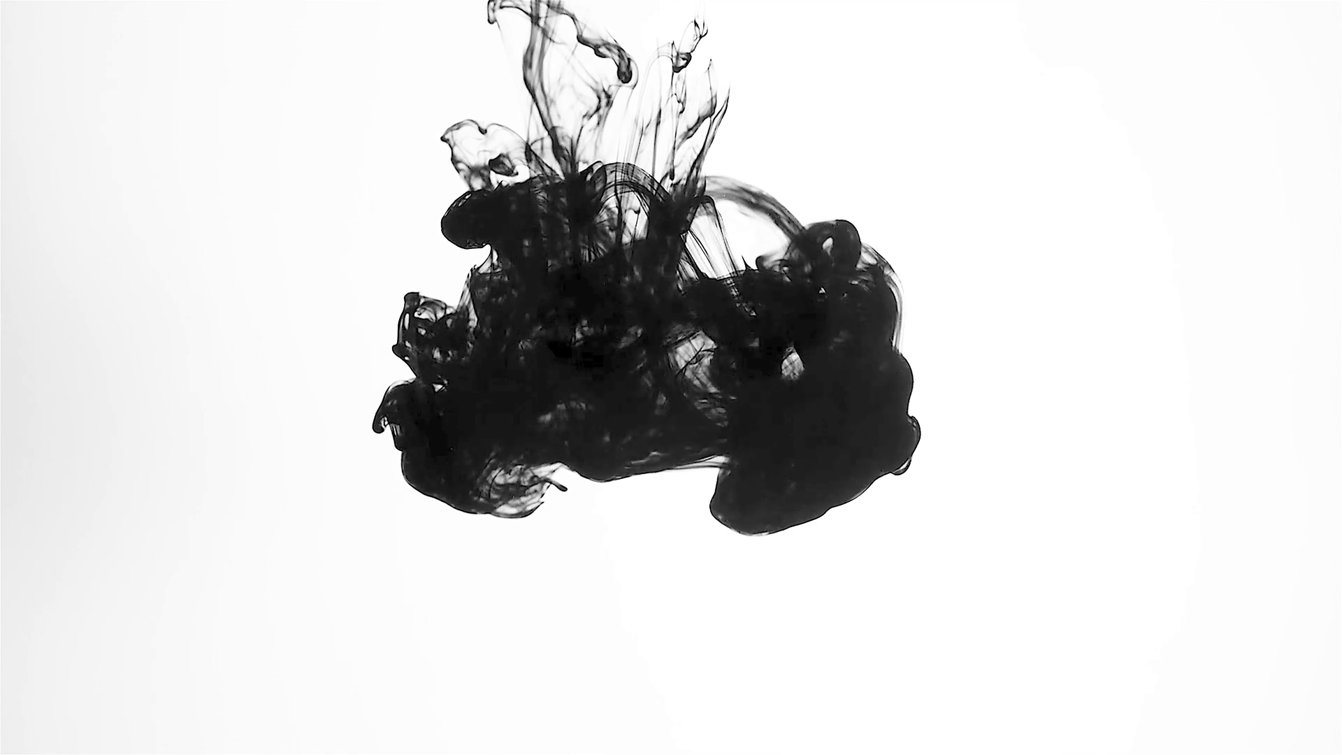 Black Watercolor Ink Mixed With Water On Stock Motion Graphics SBV ...